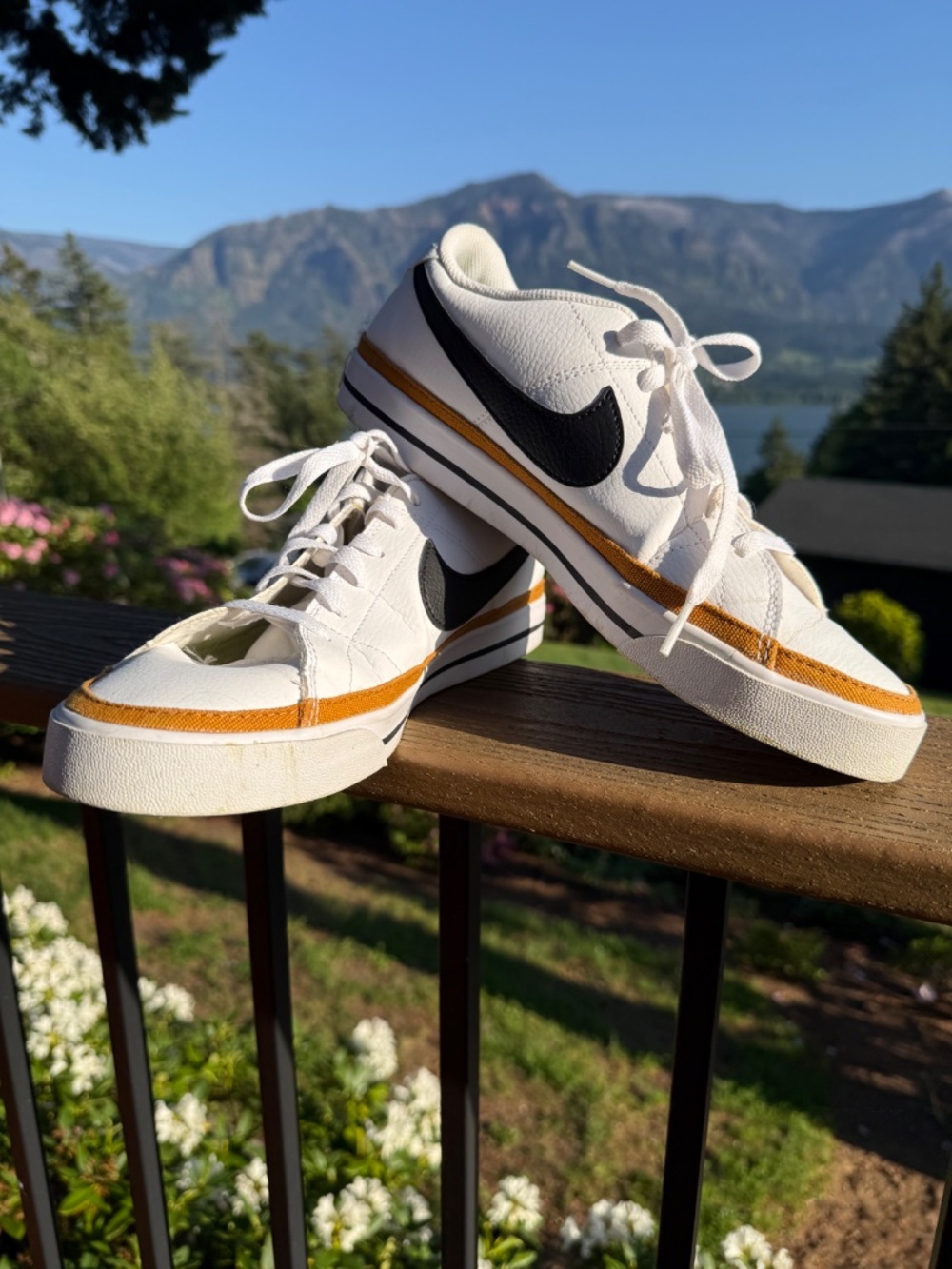Nike Court Legacy Next Nature Size 12